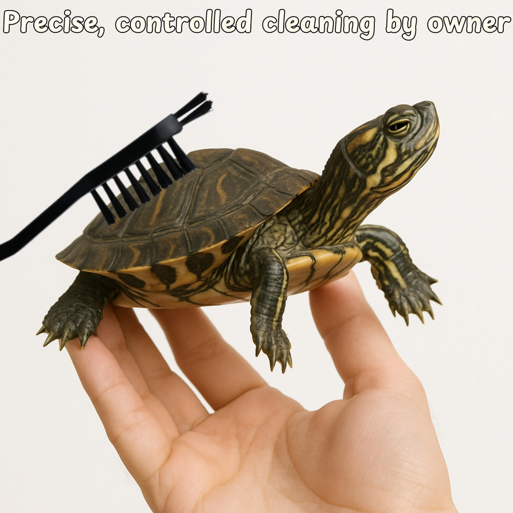Ensemble compact pour habitat tortue, facile à ranger.