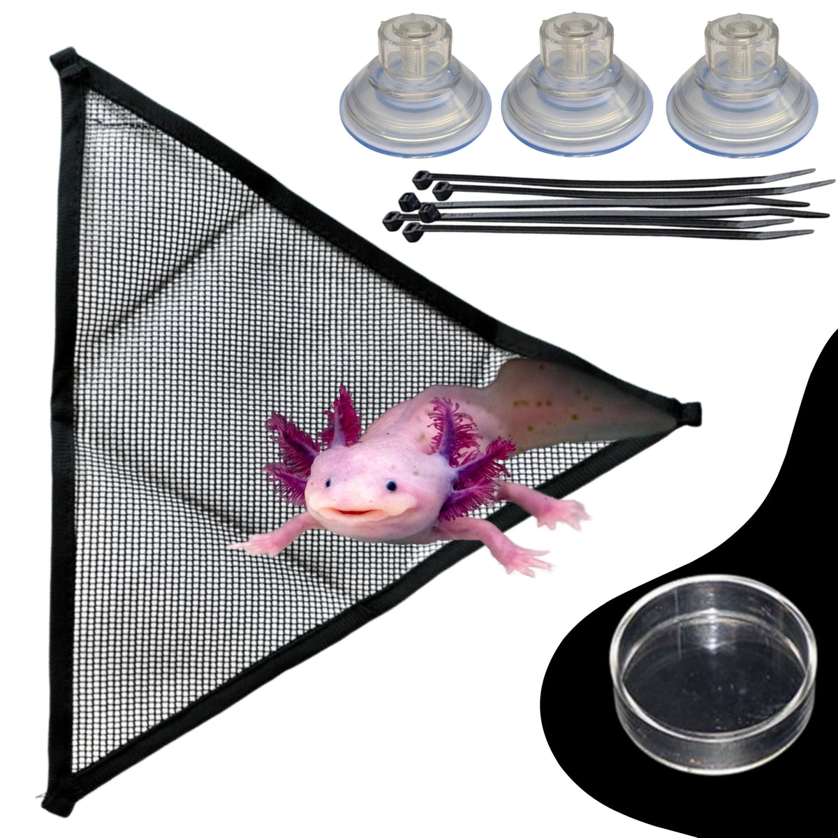 Homedy Crafts hamac axolotl — habitat élevé stimulant la curiosité.