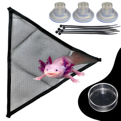 Homedy Crafts hamac axolotl — habitat élevé stimulant la curiosité.