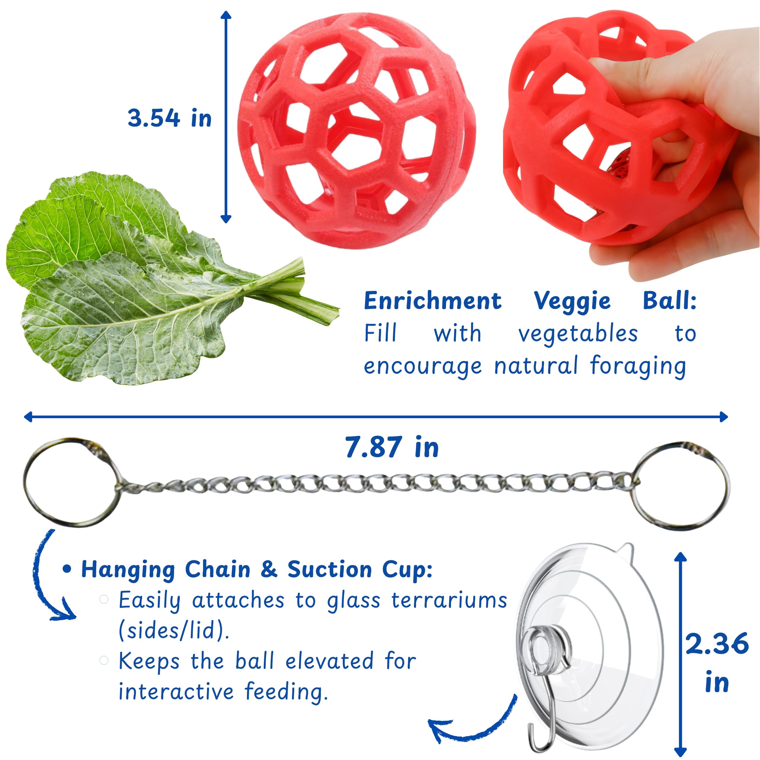 Homedy Crafts hamac dragon barbu rouge etages, espace d'exploration et d'observation.