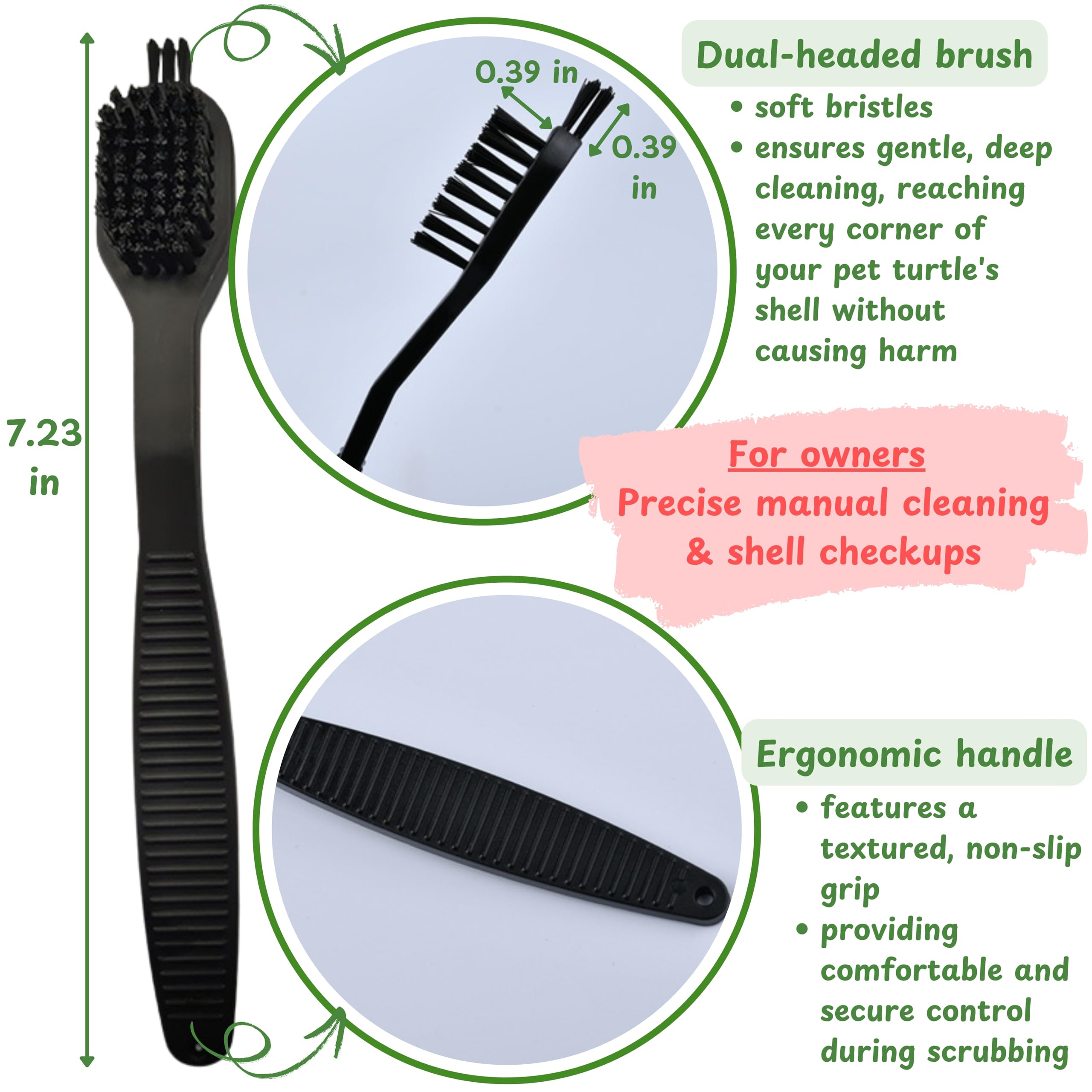 Nettoyage détaillé de la coquille avec la brosse Homedy Crafts, approche ciblée.