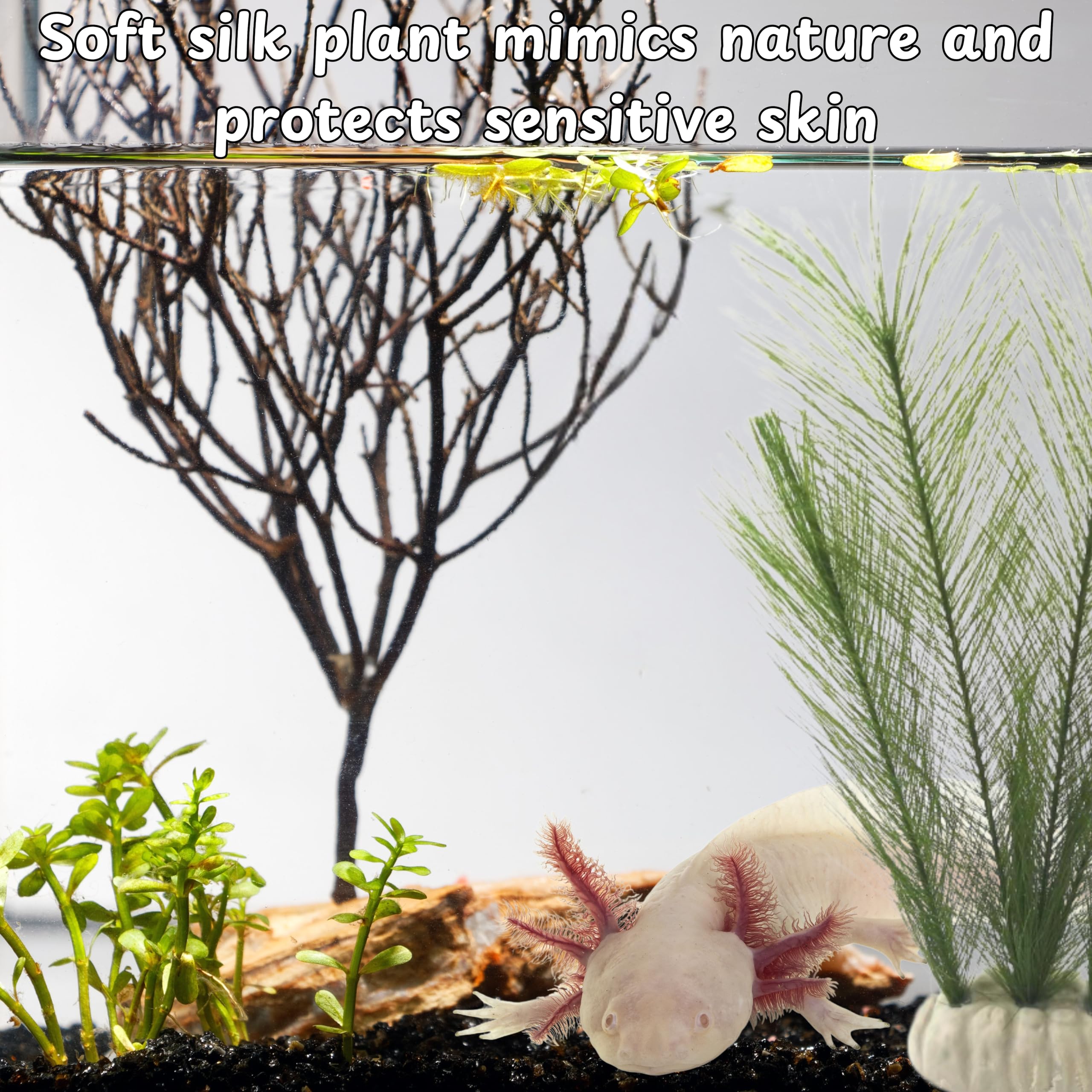 Plantes en soie Homedy Crafts pour aquarium, durable et sûre.