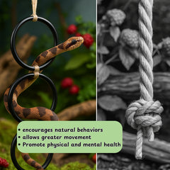 Ventouse et attache Homedy Crafts: fixation sûre sur paroi terrarium.