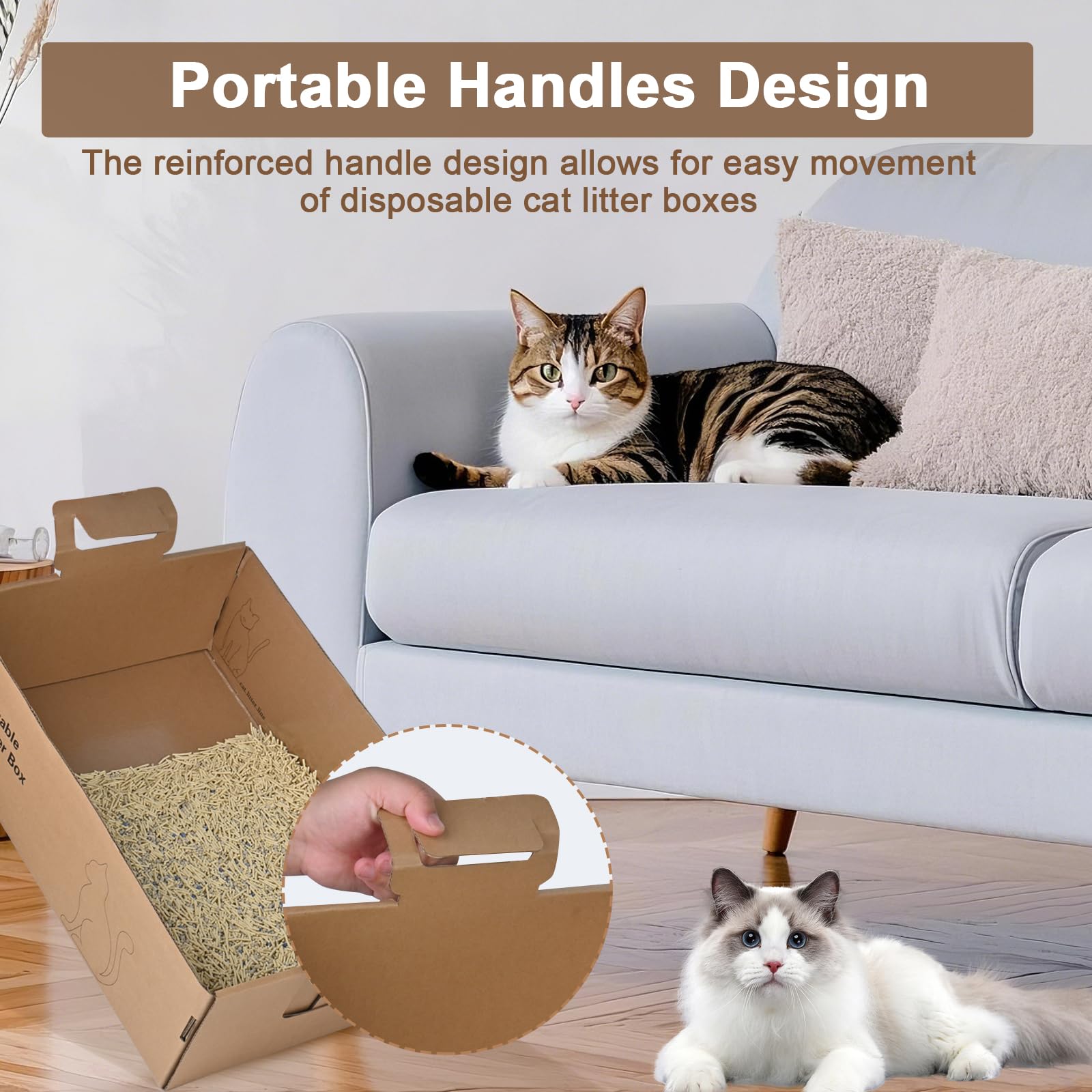 Boîte Homegroove avec rebords hauts pour limiter les déversements.