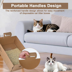 Boîte Homegroove avec rebords hauts pour limiter les déversements.