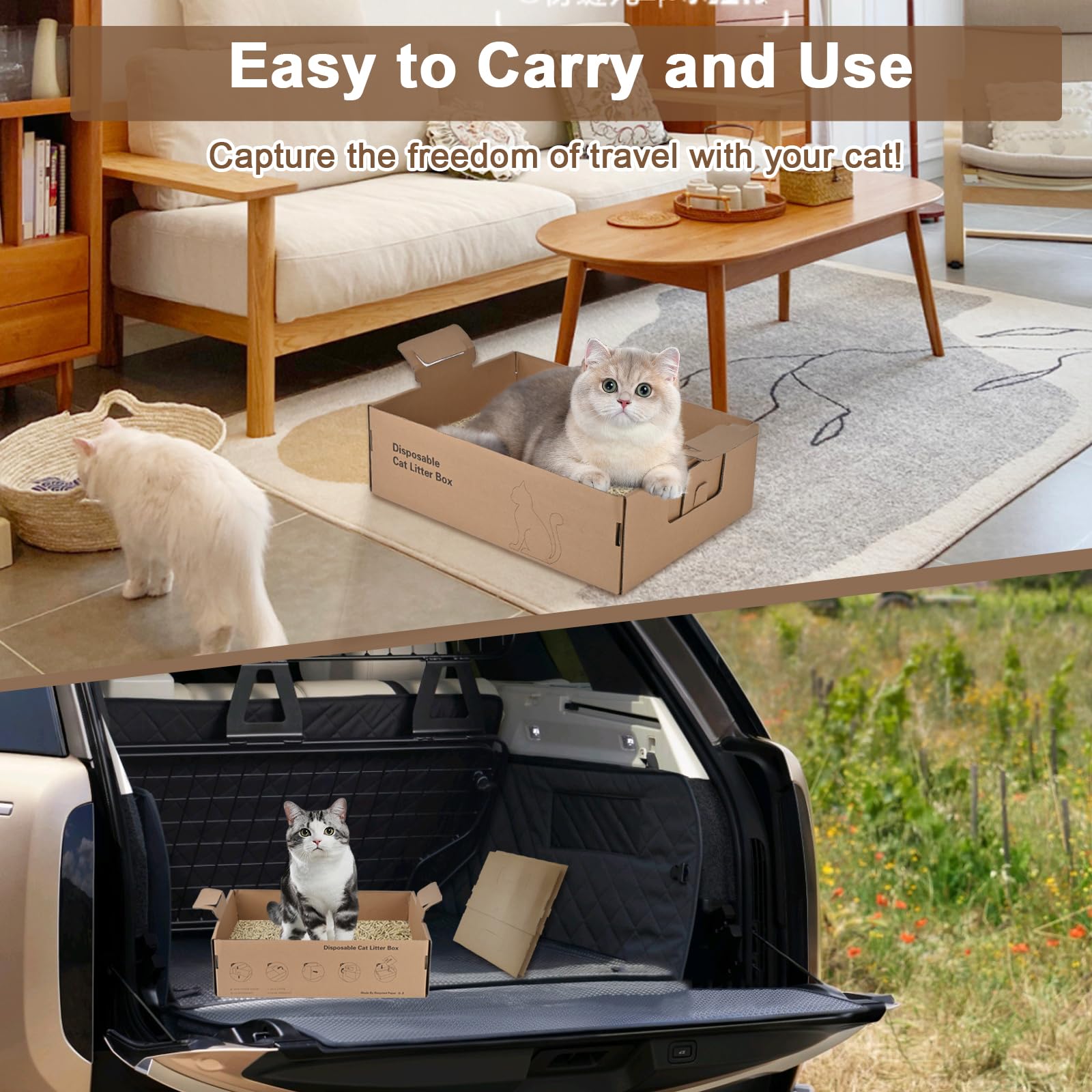 Boîte Homegroove adaptée à plusieurs animaux domestiques.