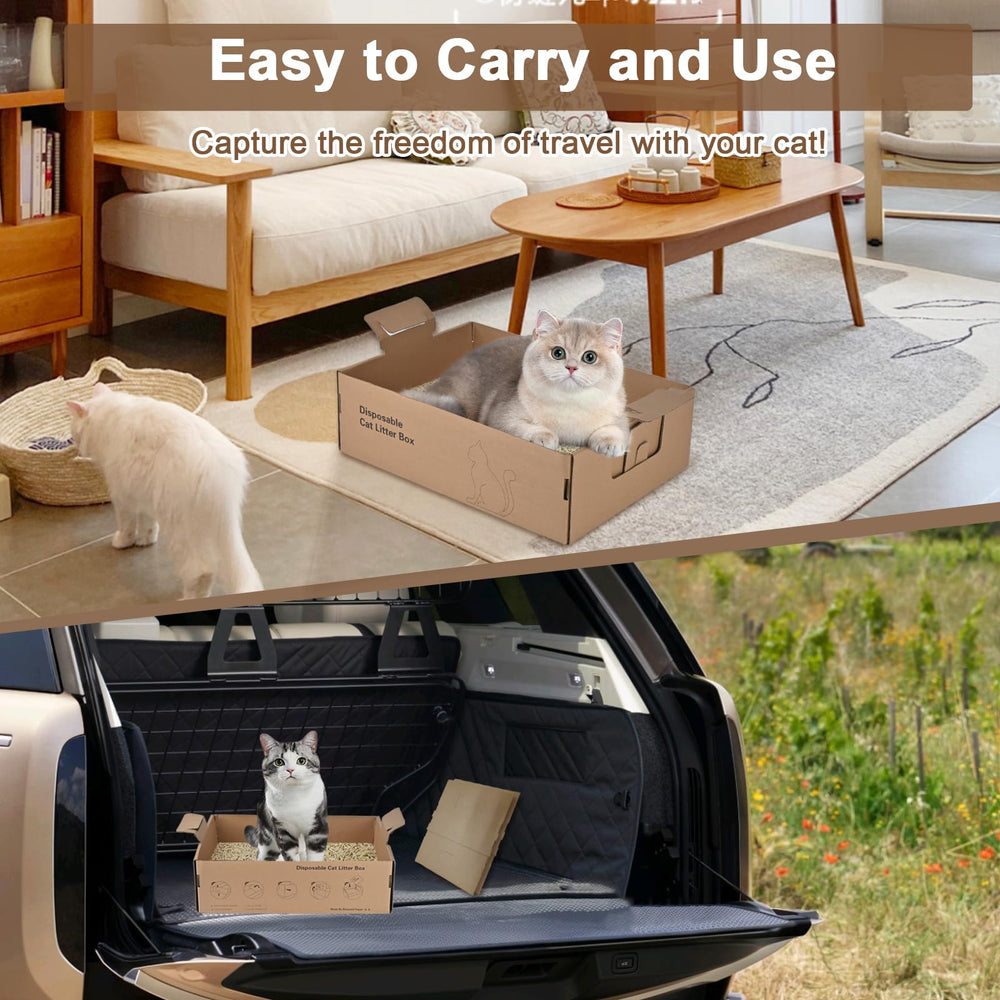 Boîte Homegroove adaptée à plusieurs animaux domestiques.