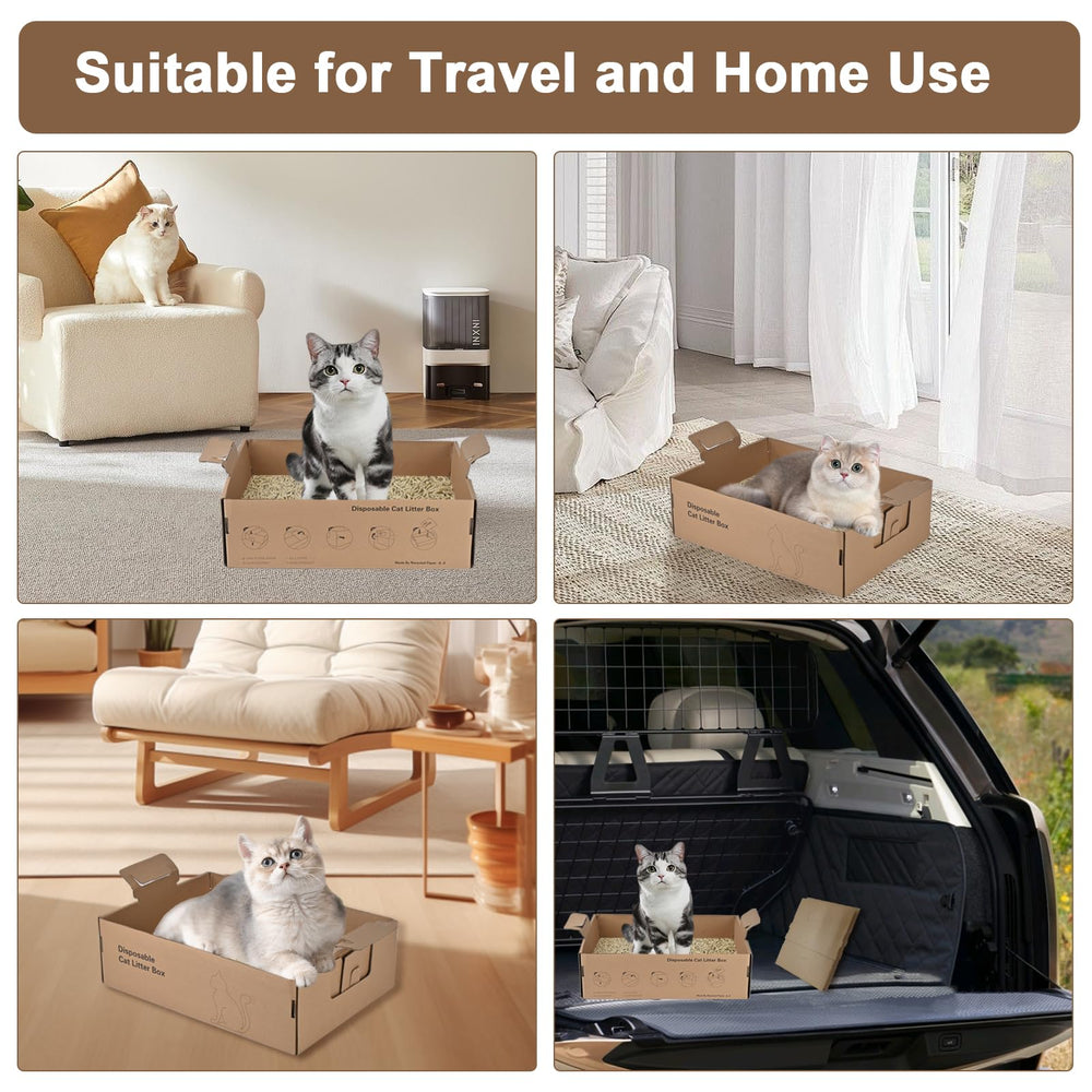 Boîte jetable Homegroove idéale pour voyages et déplacements.