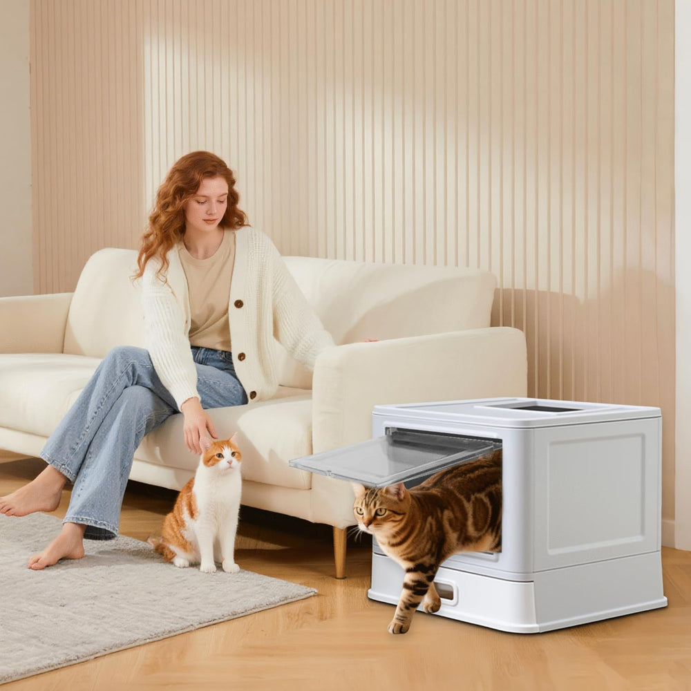 Homegroove Litiere en inox pliable, ideale pour voyage ou seconde boite.