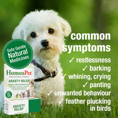 HomeoPet Anxiety Relief - administration orale simplifiée pour calmer l'animal.