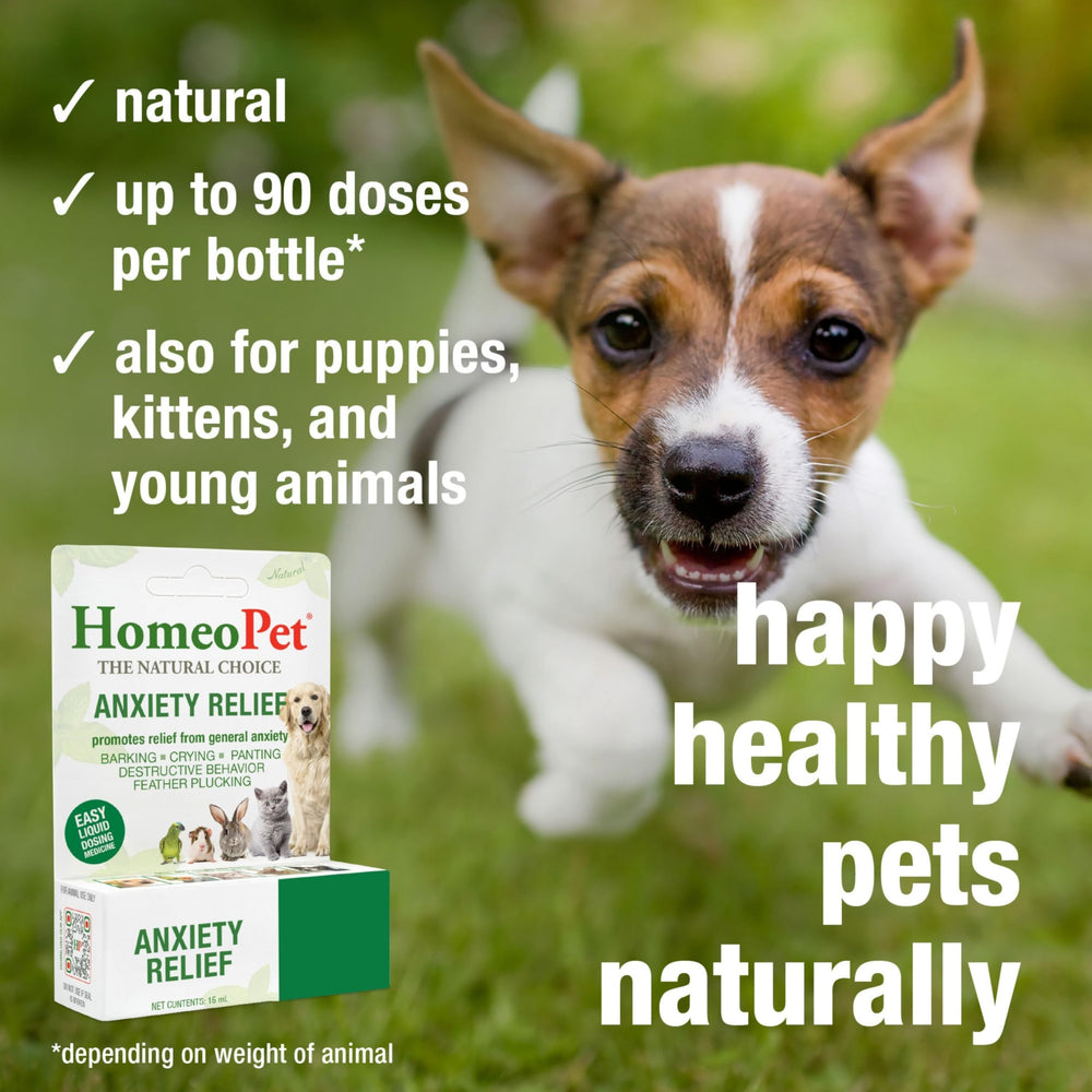 HomeoPet Anxiety Relief - gouttes faciles à verser pour calmer rapidement.