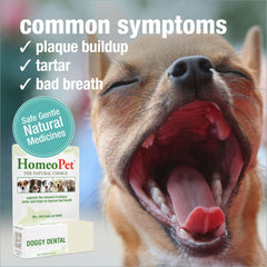 HomeoPet Doggy Dental: application directe, méthode douce pour le confort du chien.