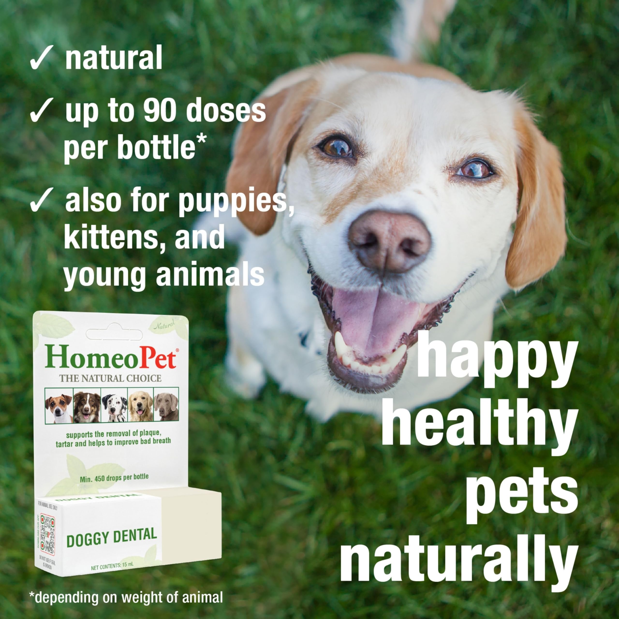 HomeoPet Doggy Dental: dose deux fois par jour pour une routine simplifiée.