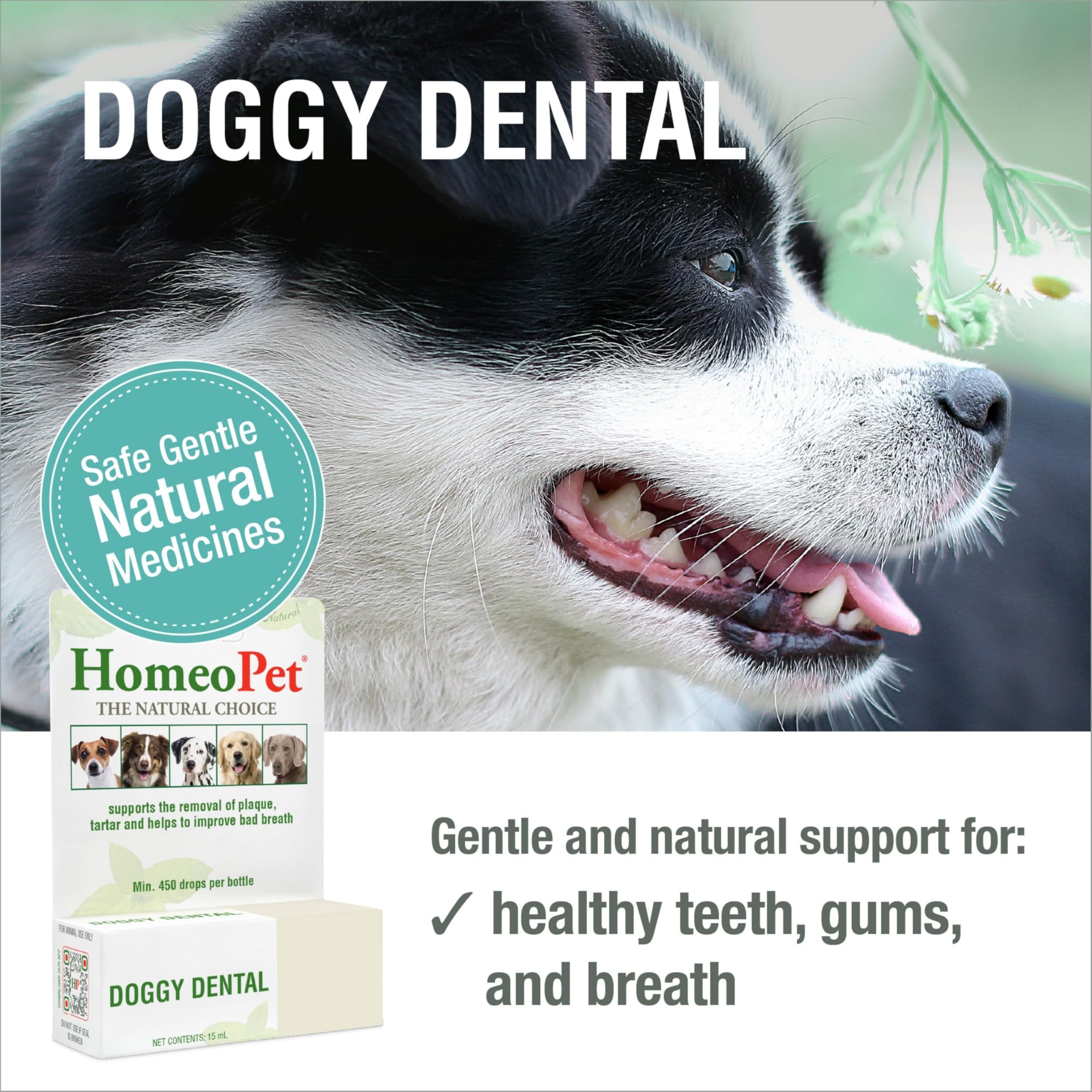 HomeoPet Doggy Dental: gouttes dans eau, dose facile pour chiens de tout âge.