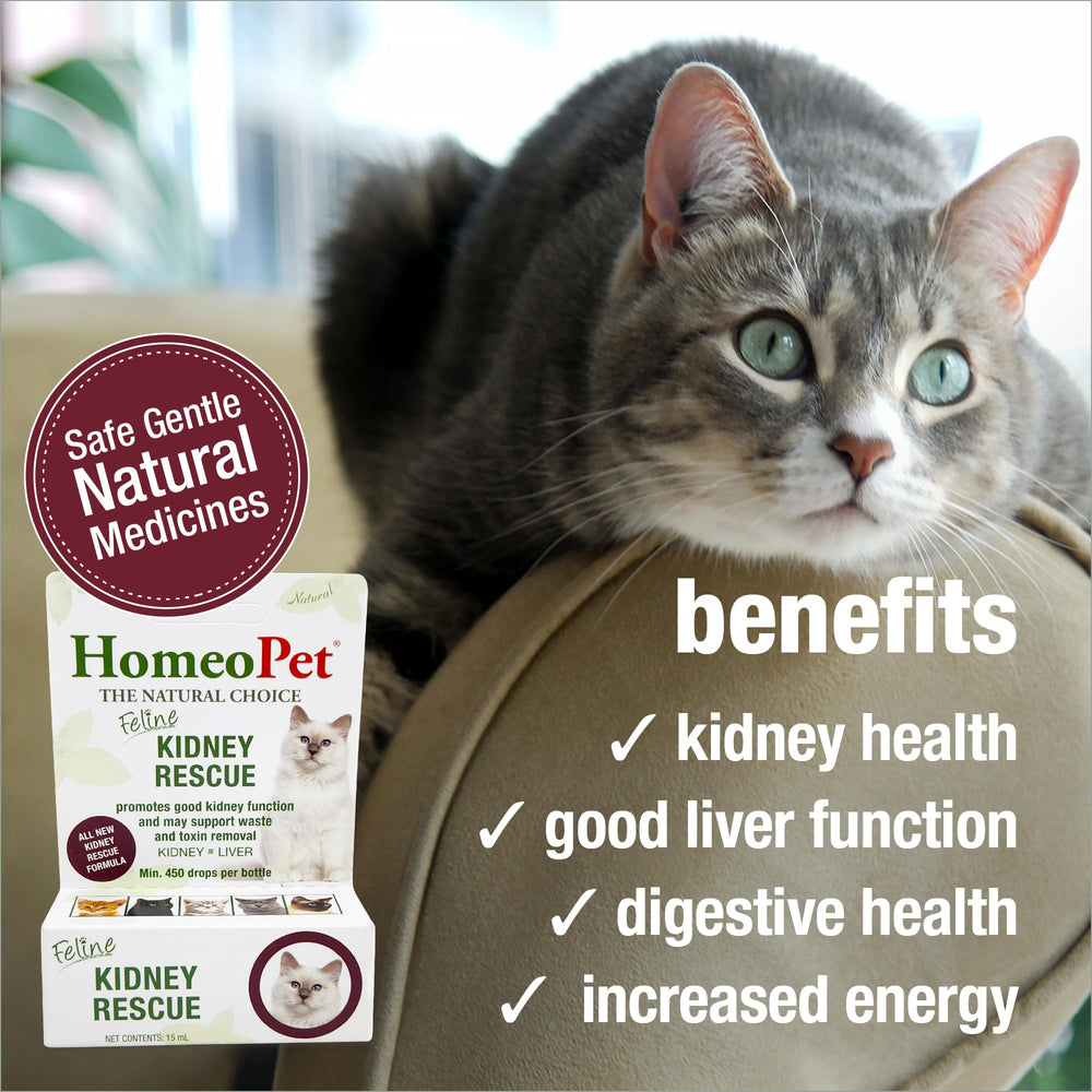 HomeoPet Feline Kidney Rescue, dose quotidienne facilitée pour tous les âges.