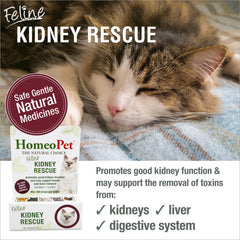 HomeoPet Feline Kidney Rescue, gouttes prêtes à l’emploi pour administration directe.