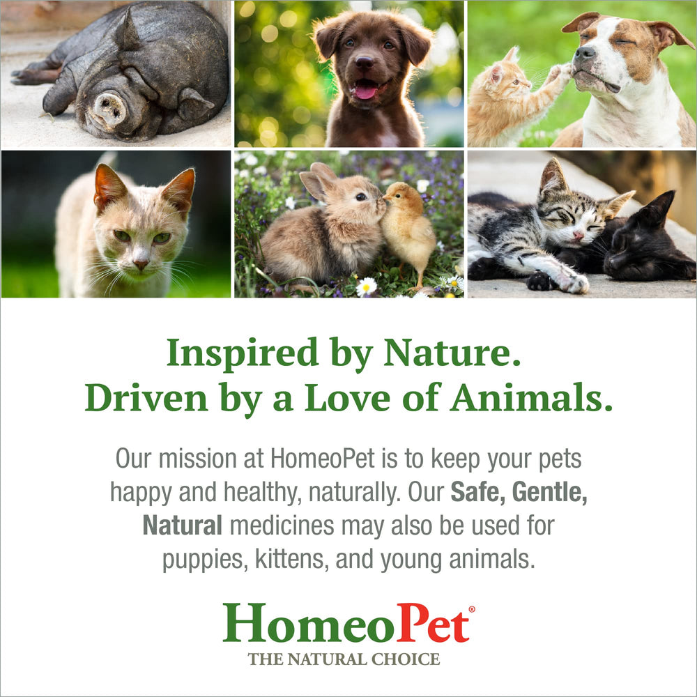 HomeoPet utilisation sûre au quotidien, pour chiens et chats