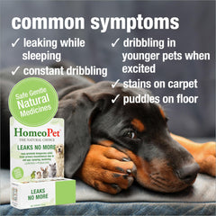 HomeoPet Leaks No More – dose adaptée 3 fois par jour, pour accompagner les symptômes.