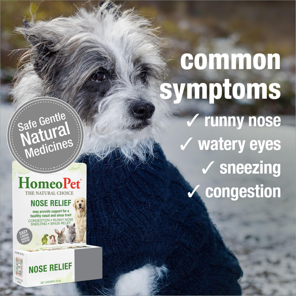 HomeoPet Nose Relief : administration directe – dose en bouche ou eau pour un usage pratique.