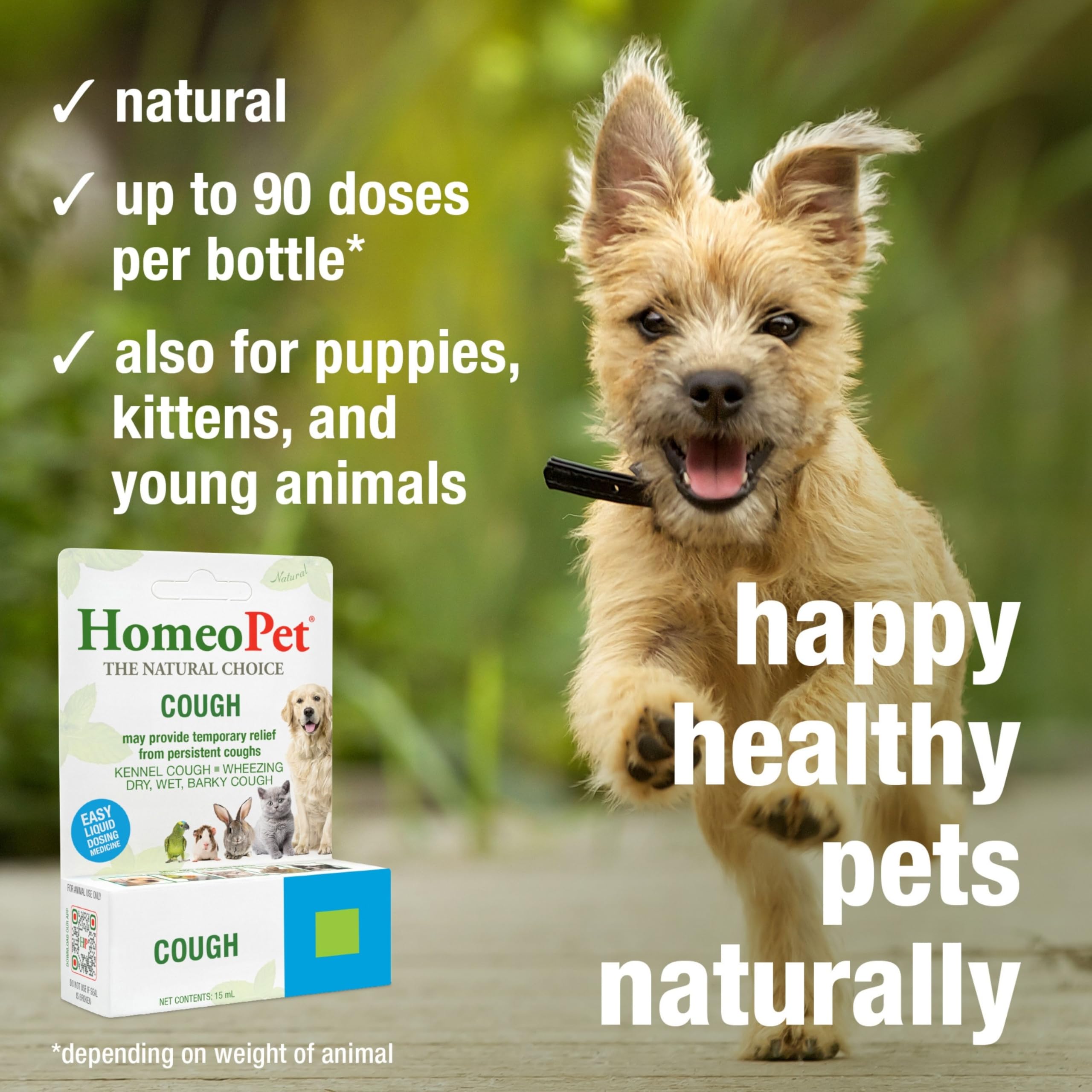 HomeoPet Toux – exemple-dosage pour application directe dans la bouche.