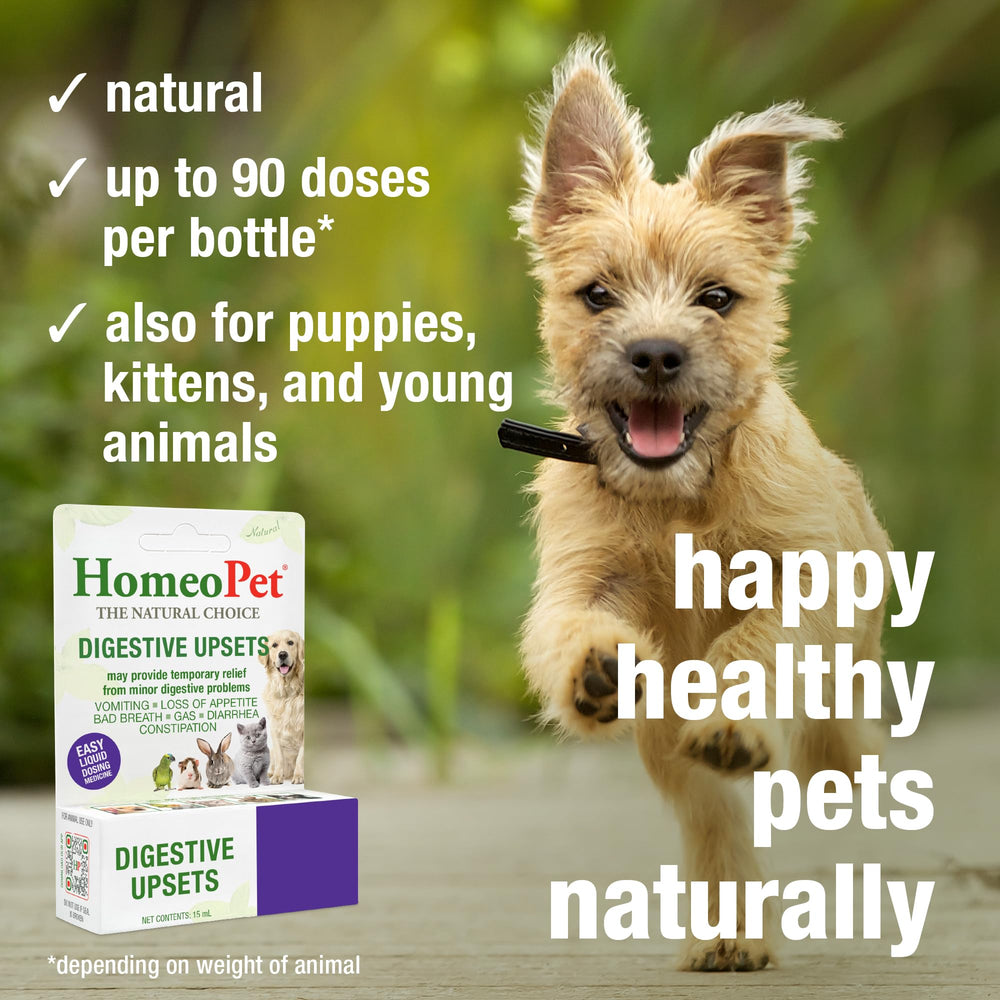 HomeoPet Digestive Upsets – dose au repas, pratique lors des repas quotidiens.