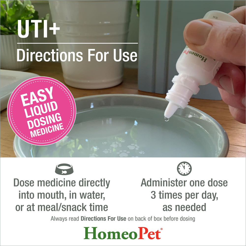 HomeoPet UTI+ chat, format sûr pour petits animaux.