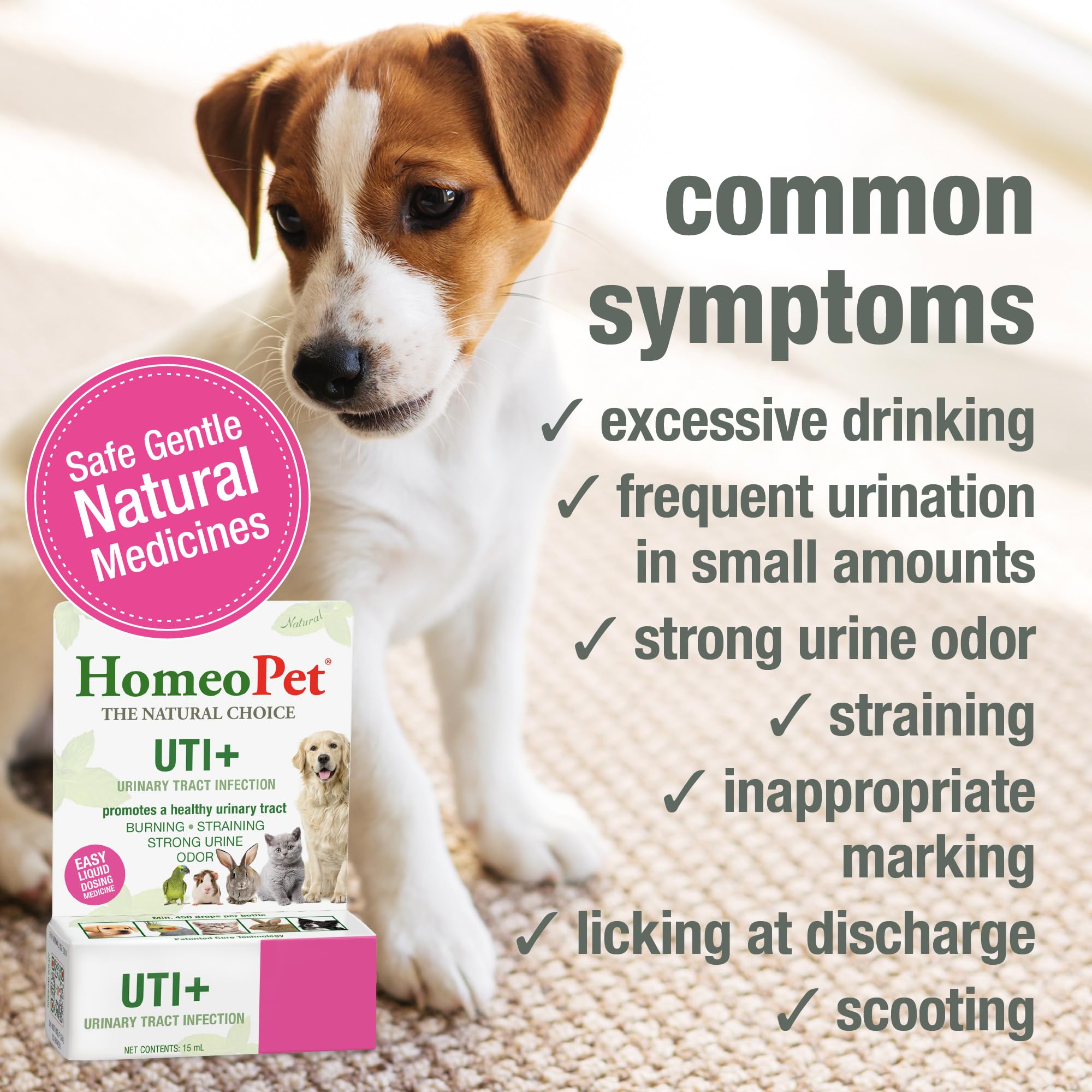HomeoPet UTI+ dose-dans-eau, pratique pour diluer le complément.