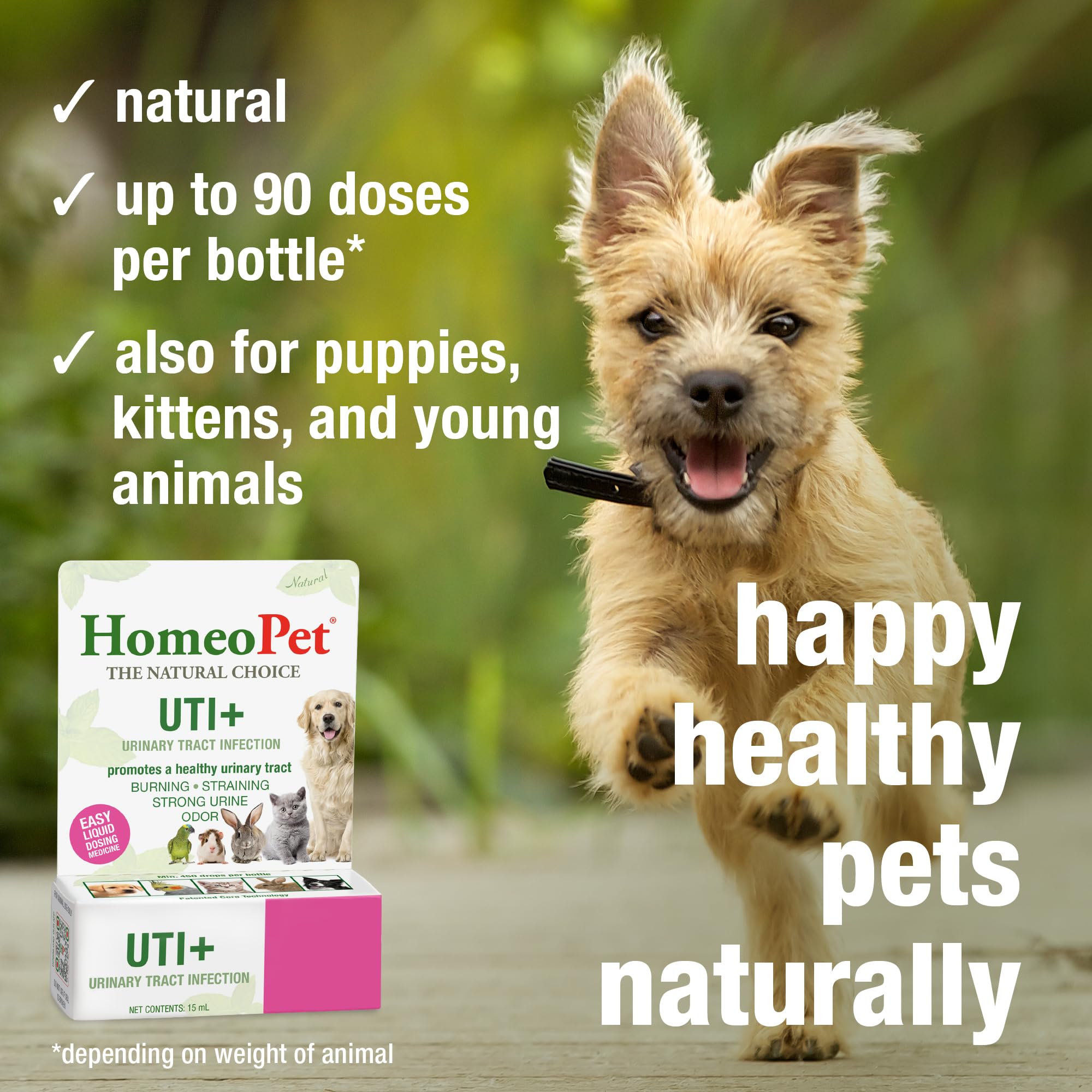 HomeoPet UTI+ dose-dans-nourriture, intégration discrète au repas.
