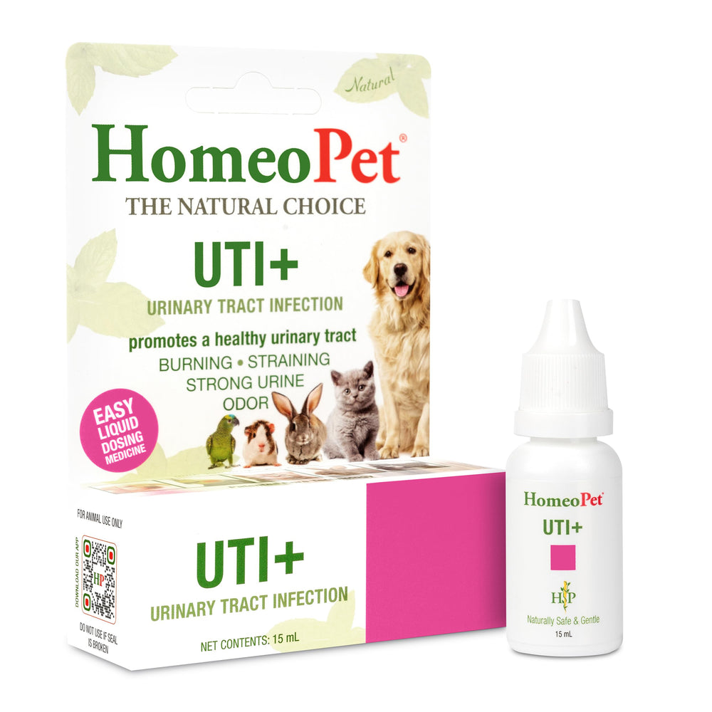 HomeoPet UTI+ flacon, administration simple pour chiens et chats.