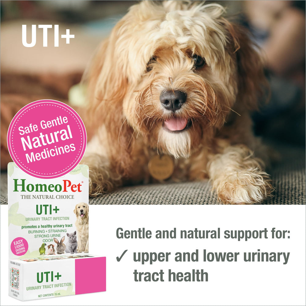 HomeoPet UTI+ gouttes, facile à ajouter à la routine journalière.