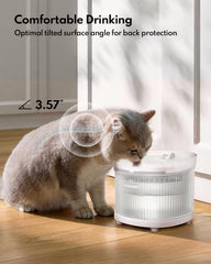 Indicateur lumineux HomeRunPet avertissant du niveau d'eau et évitant l'assèchement.
