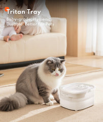 HomerunPet fontaine-tritan filtration quatre-etapes assure eau plus propre.
