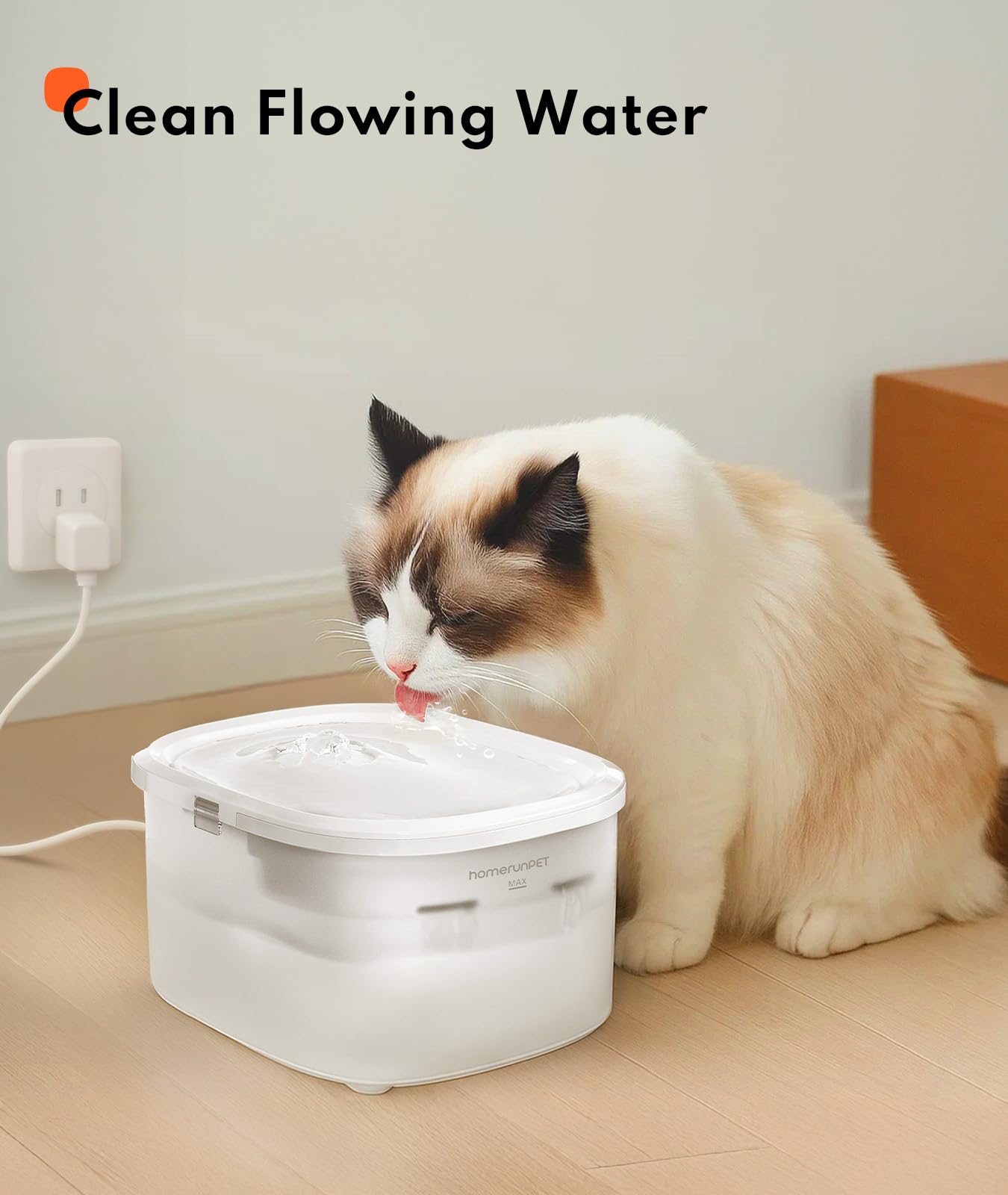 HomerunPet sans BPA assure eau sûre pour votre animal.