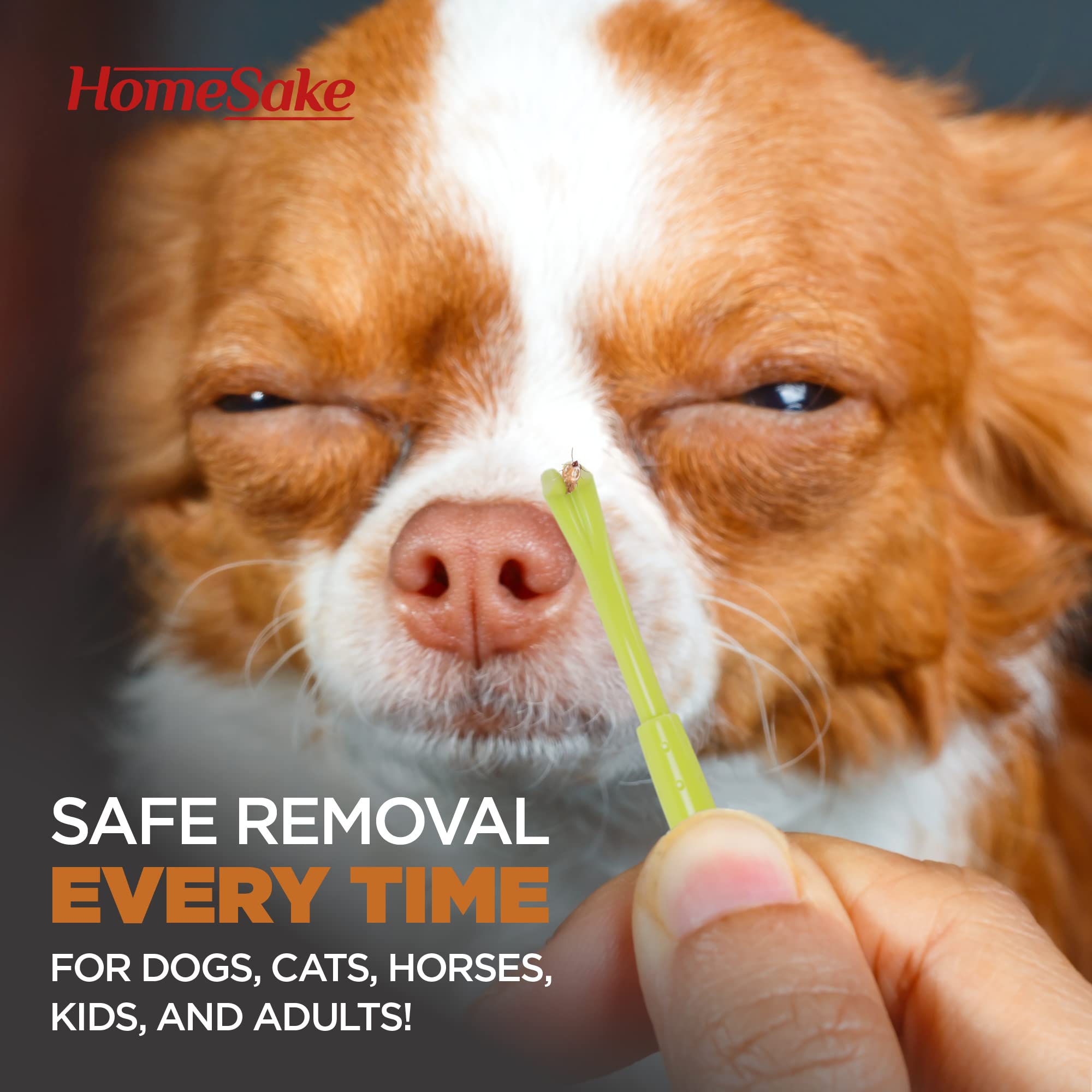 HomeSake solution sans chimie pour retirer les tiques en sécurité.