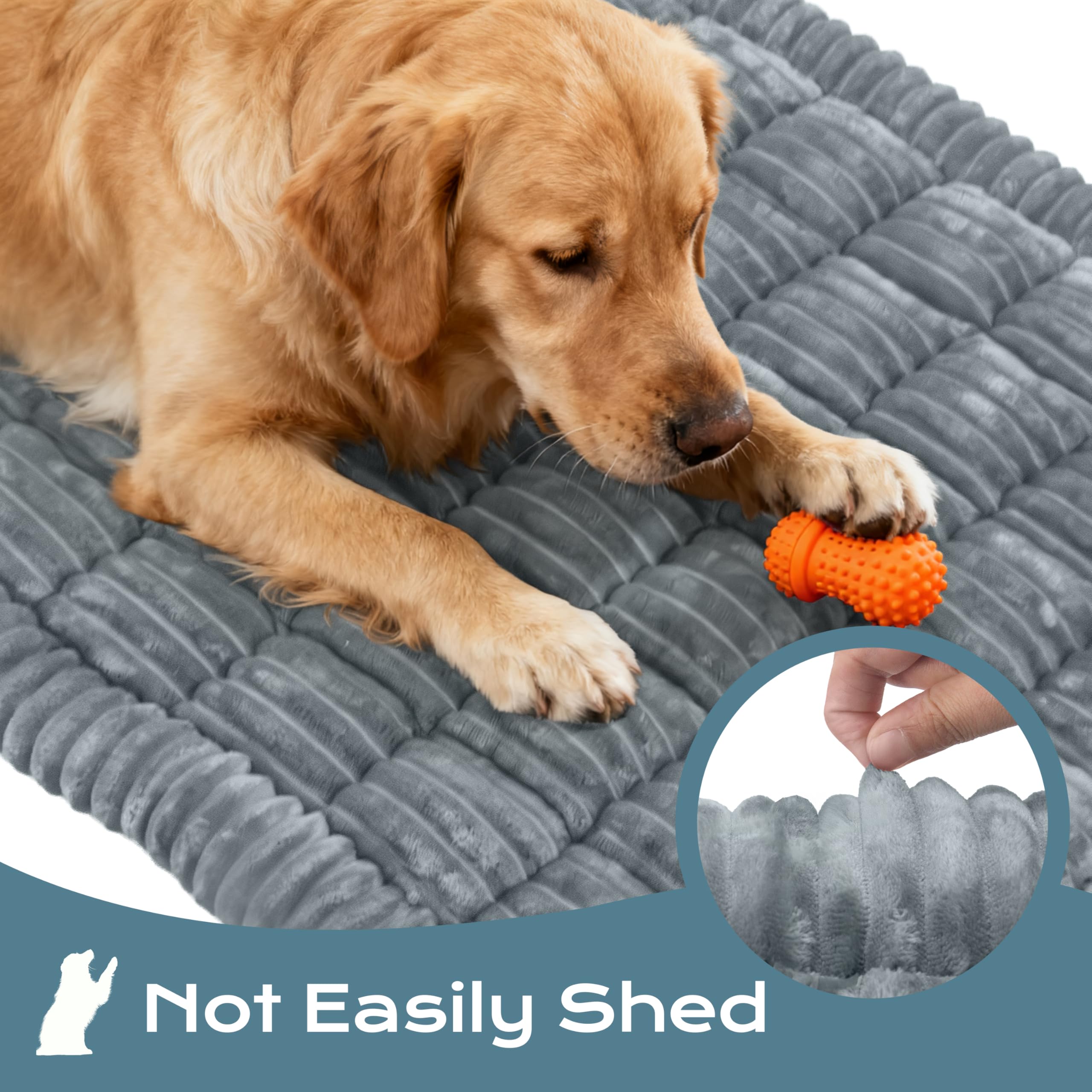 HomeTails tapis chien camping exterieur offre un espace cosy en voyage