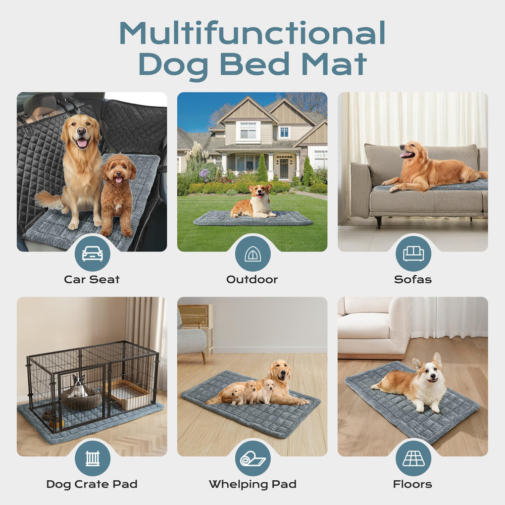 HomeTails tapis chien gris doux pour la maison et les trajets