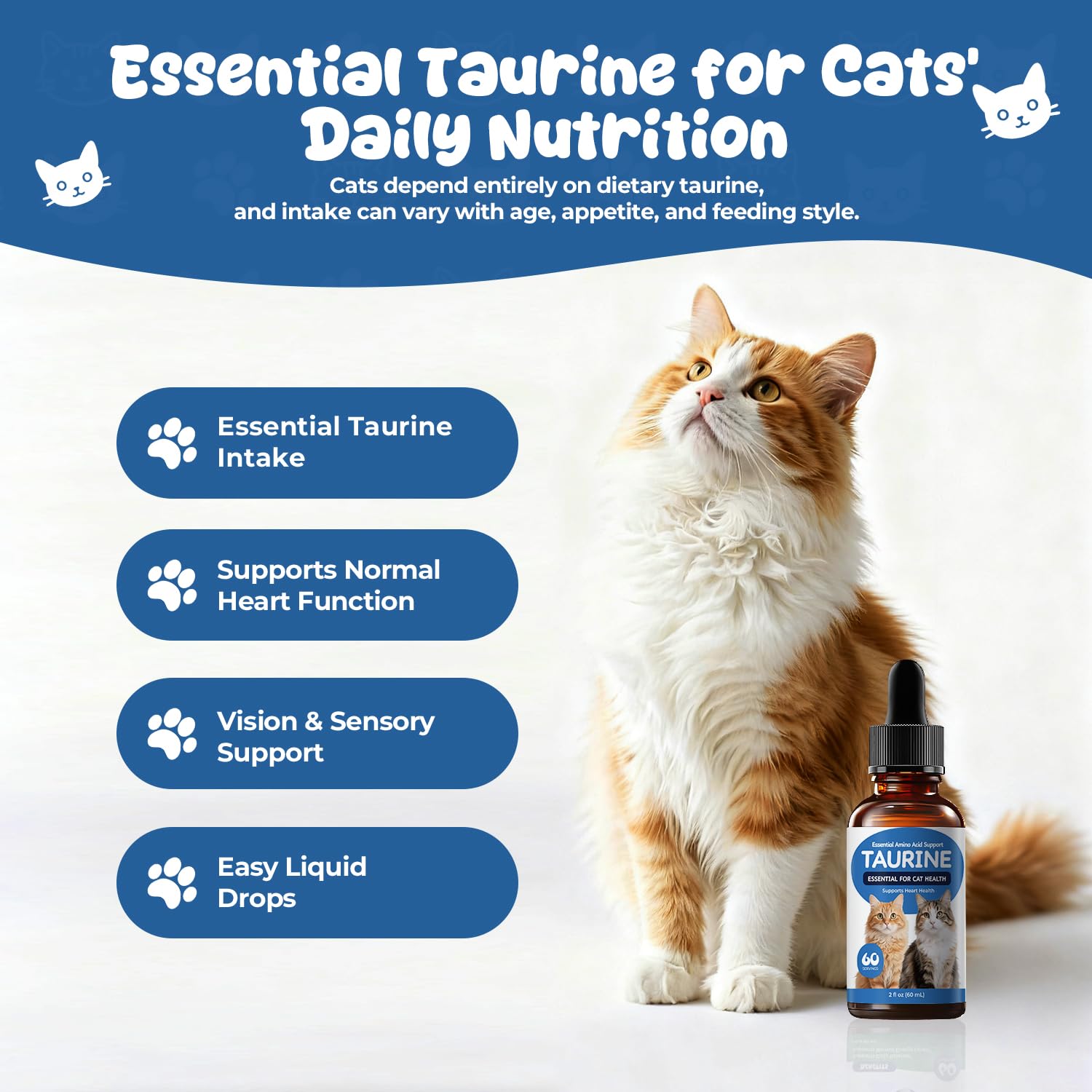 Homibabis Taurine pour chats, doseur précis pour mesurage fiable.