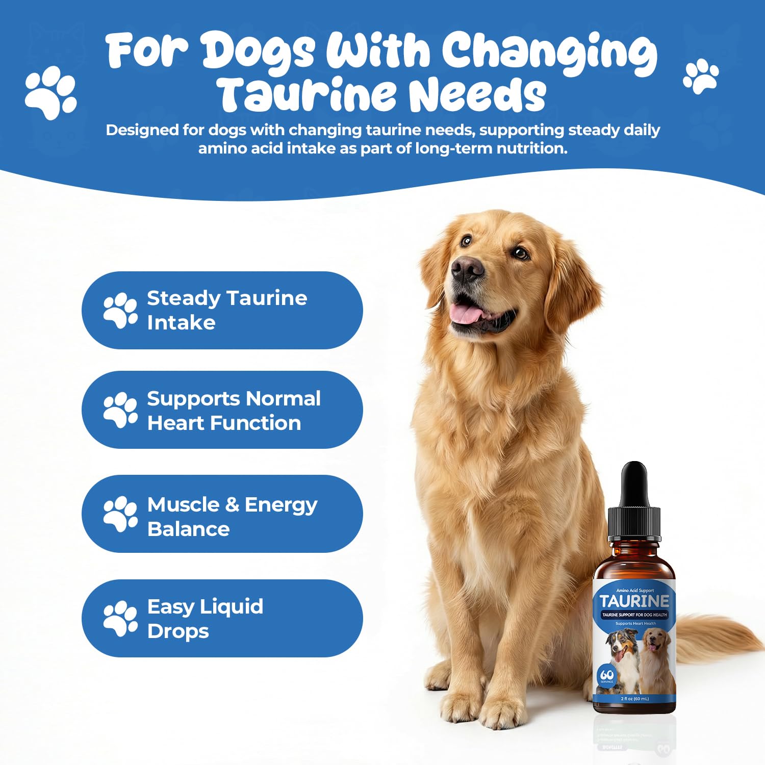 Homibabis Taurine Liquide: pipette doseuse pour administration facile au chien.