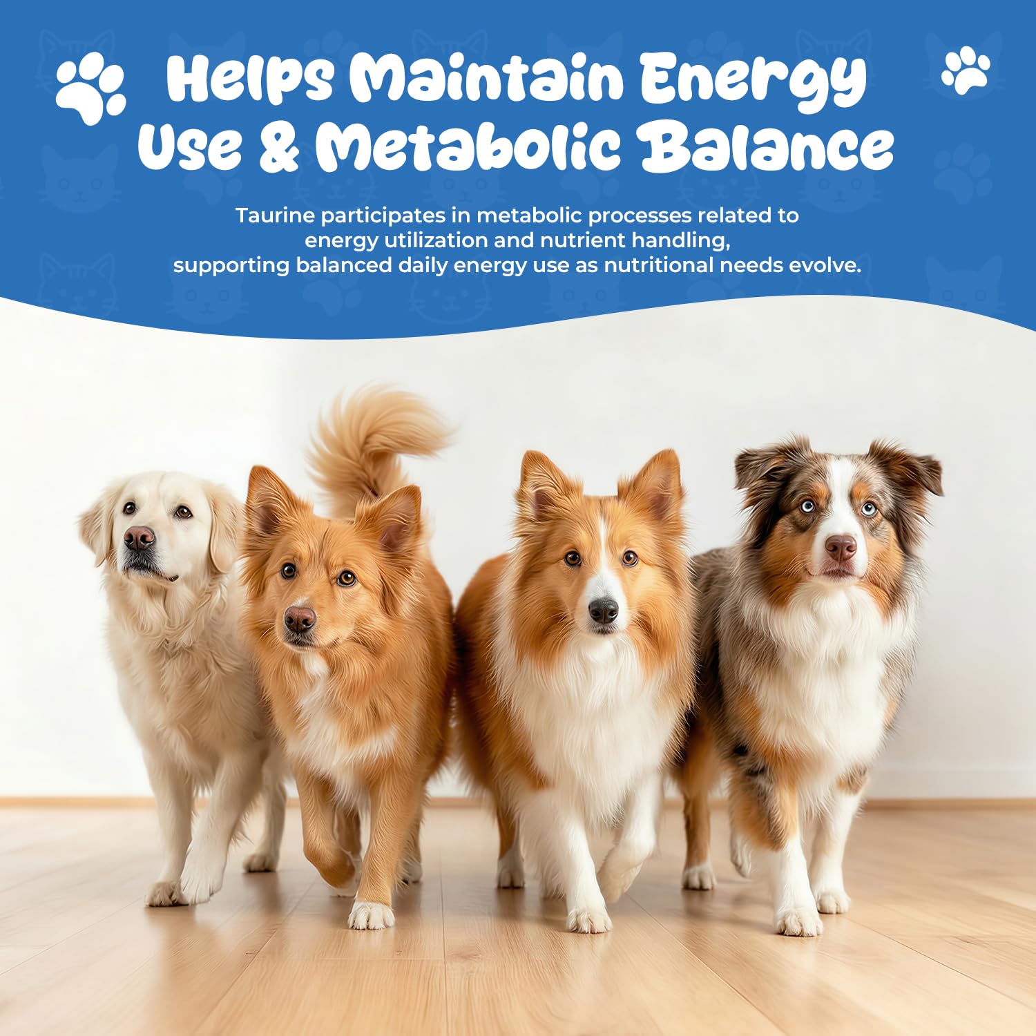Homibabis Taurine Liquide: soutien à la mobilité et stabilité lors des activités quotidiennes.