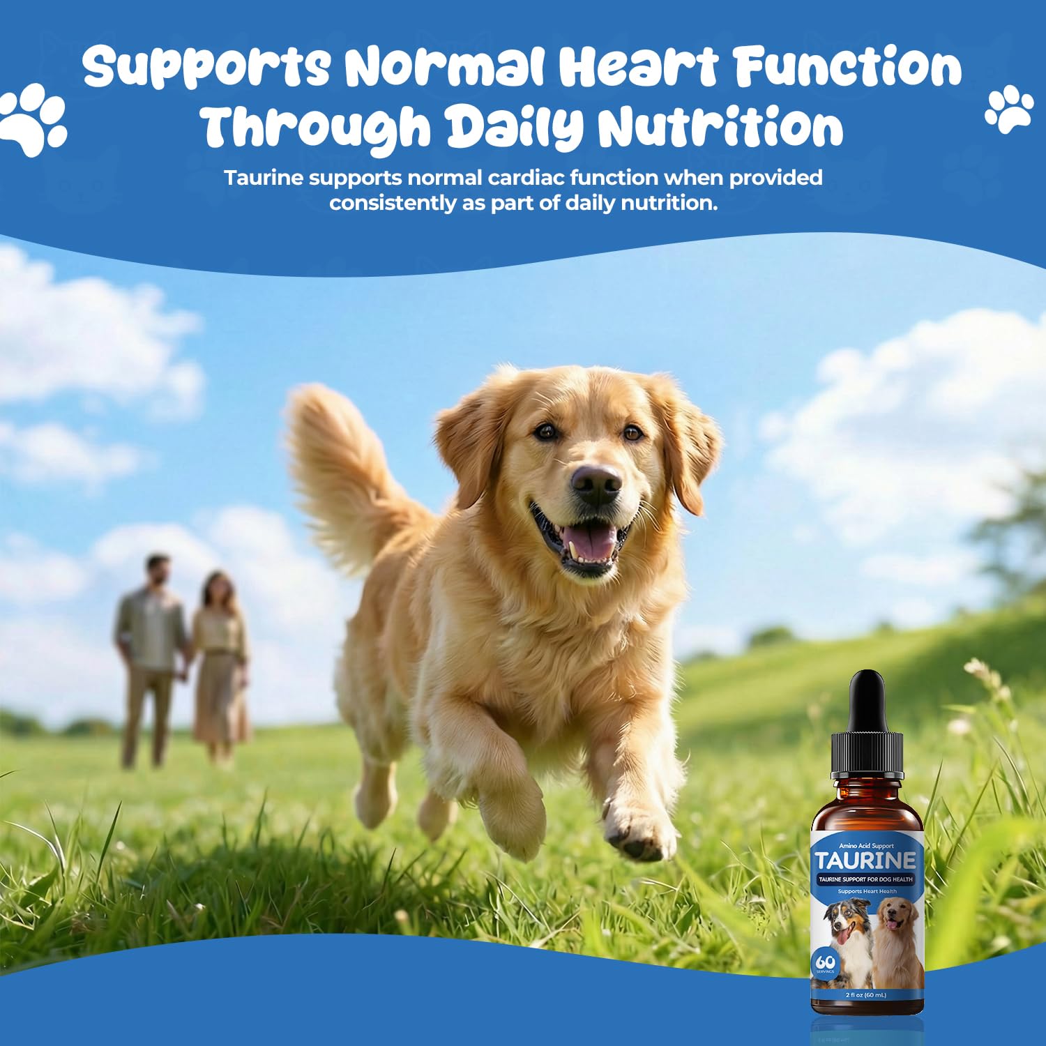 Homibabis Taurine Liquide: chien dans le cadre d’un repas quotidien et routine diététique.