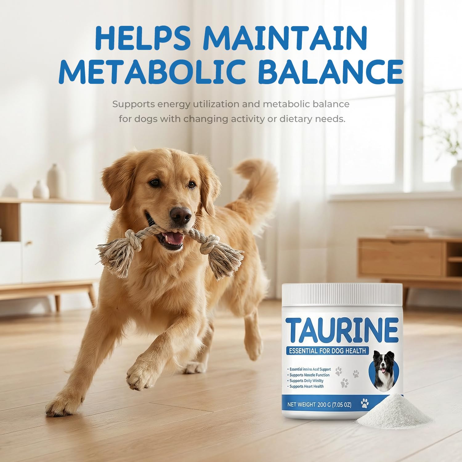 Homibabis Taurine Poudre Chien – mélange facile dans nourriture humide.