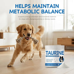 Homibabis Taurine Poudre Chien – mélange facile dans nourriture humide.