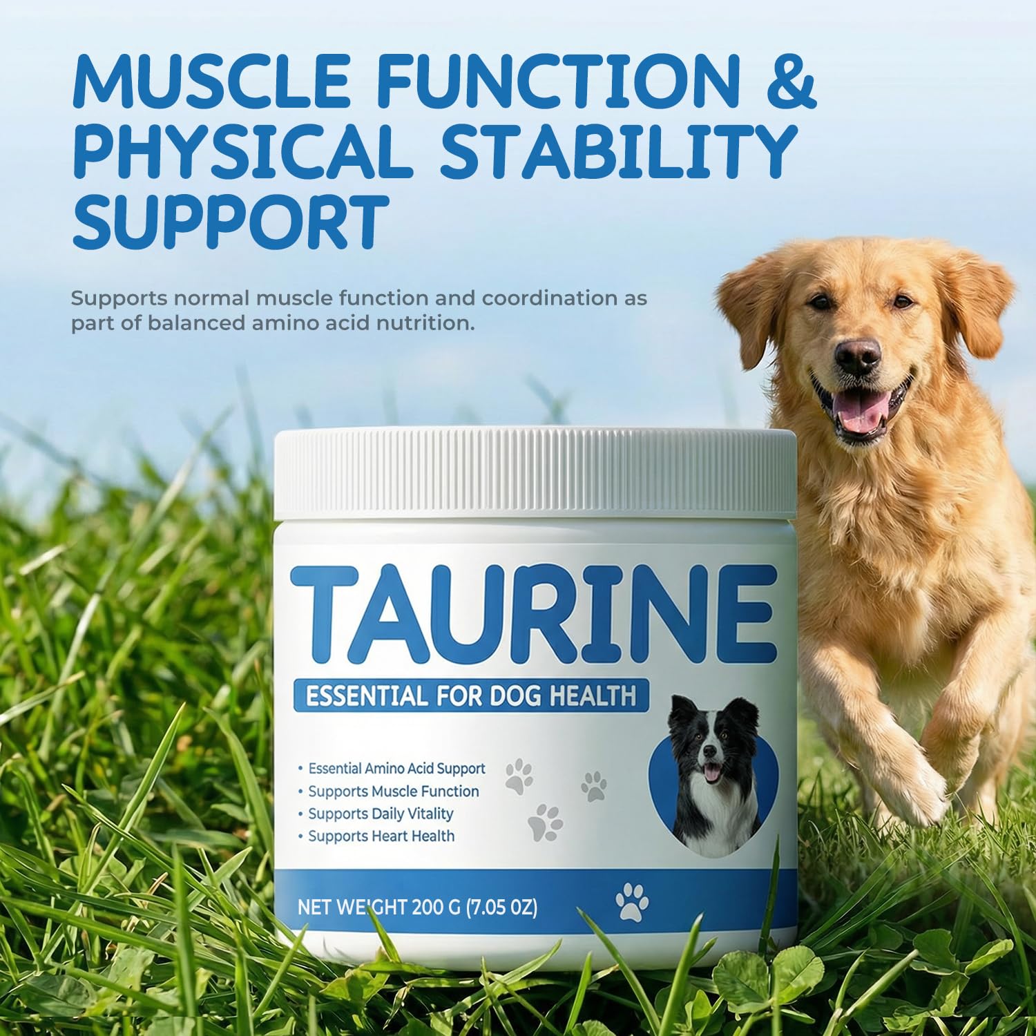 Homibabis Taurine Poudre Chien – mesure précise pour un apport constant.