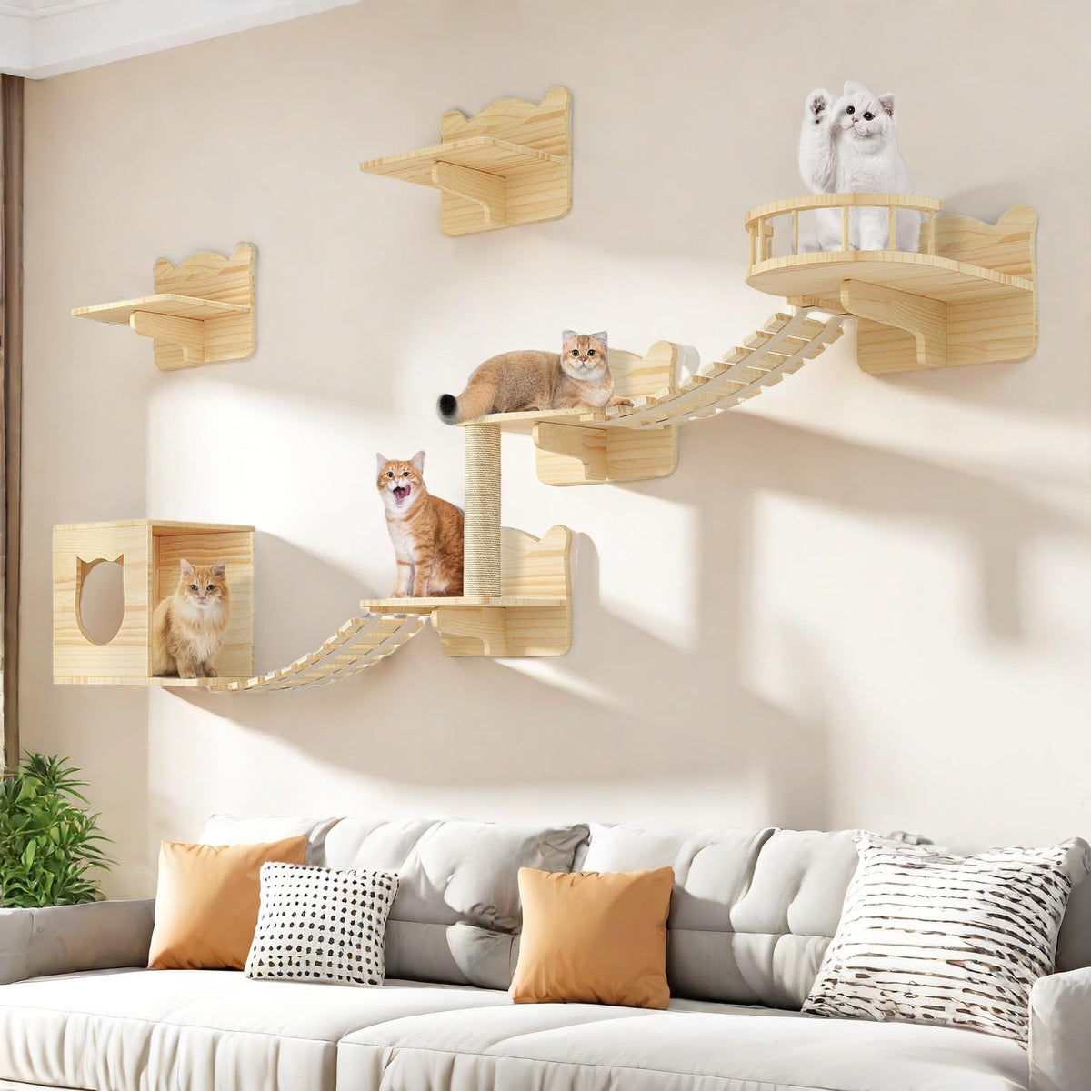 Homiflex étagères murales pour chat - ensemble complet optimisant l'espace vertical.