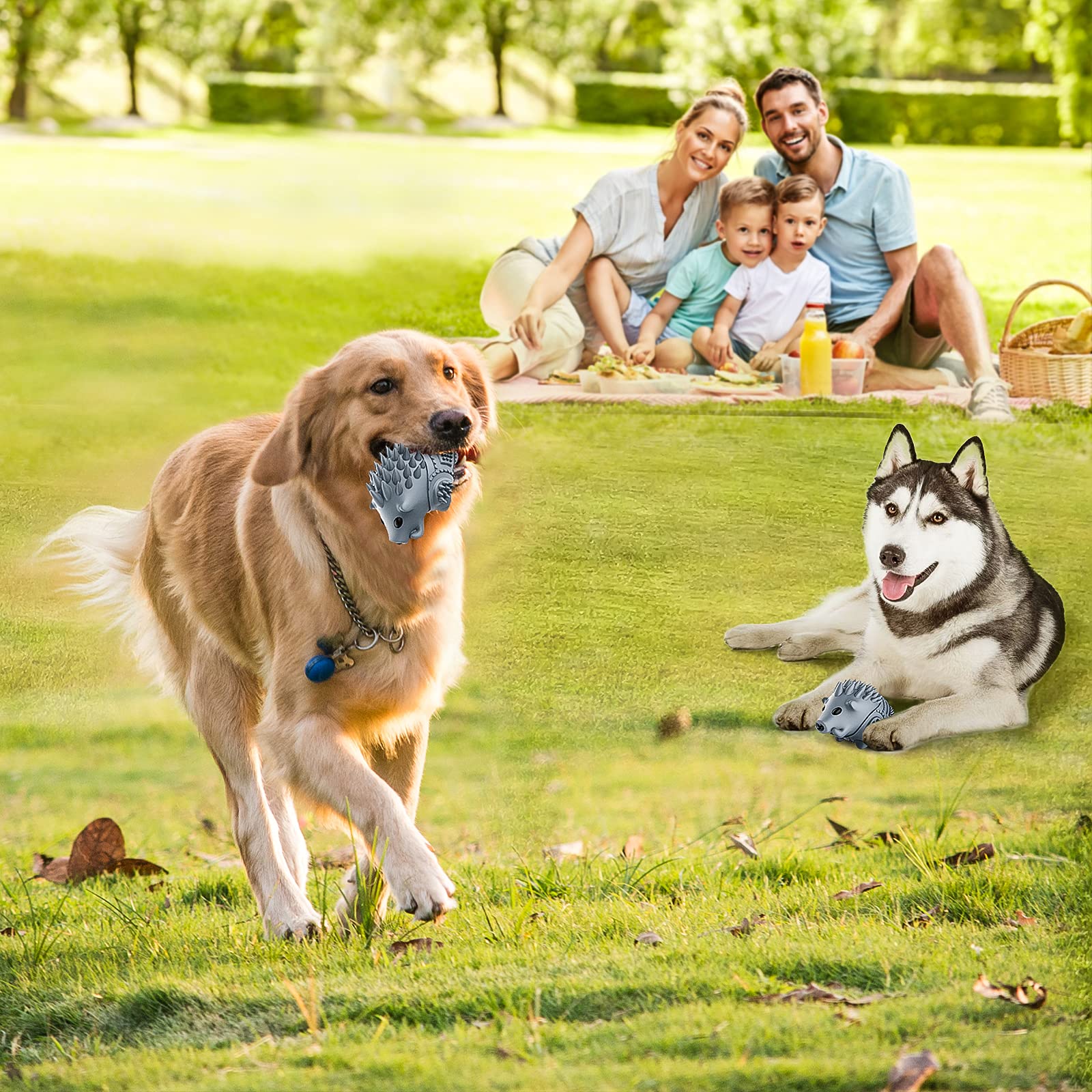 Homipooty, jouet cadeau idéal pour anniversaire ou fête canine