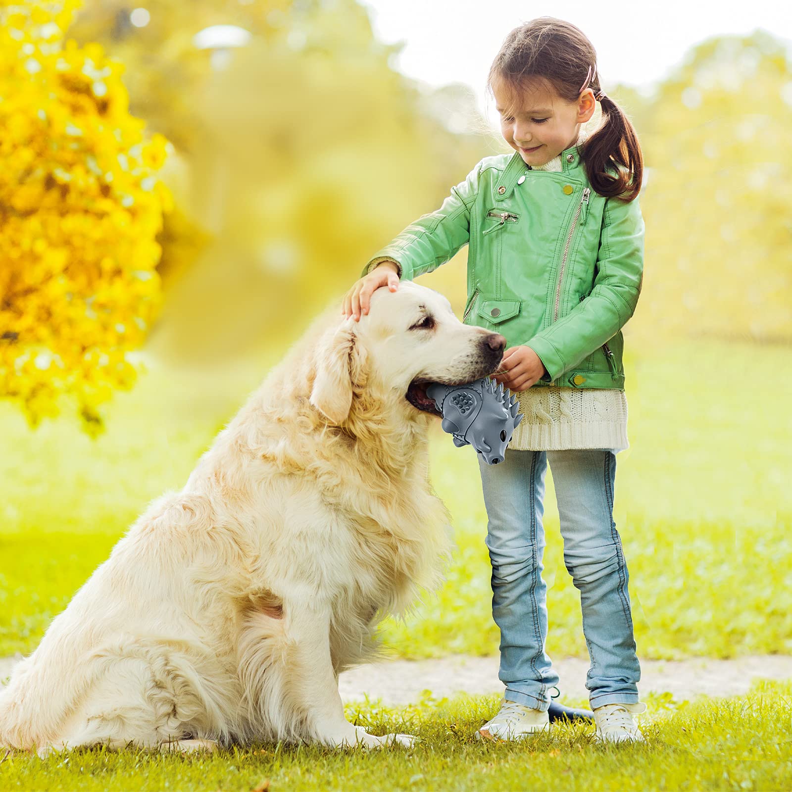 Homipooty, jouet durable conçu pour chiens agressifs et mâcheurs forts