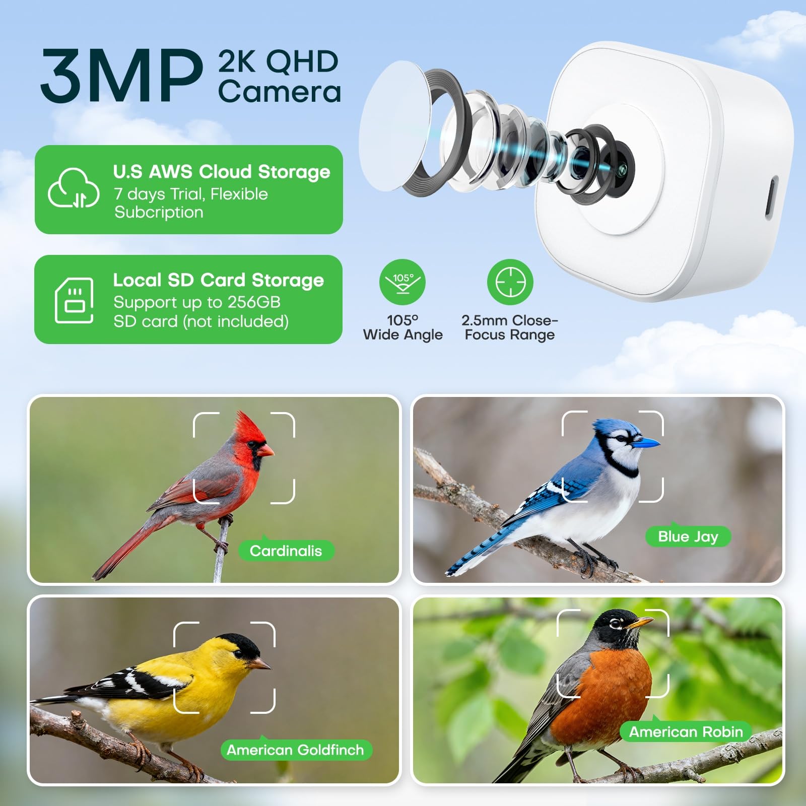 Caméra HomiQ 3MP capte les détails des plumes près de la vitre.