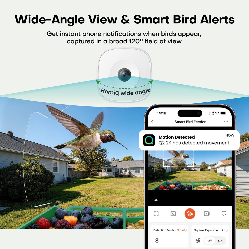 HomiQ Life Smart Bird Feeder alertes mouvement: ne manquez aucune visite.