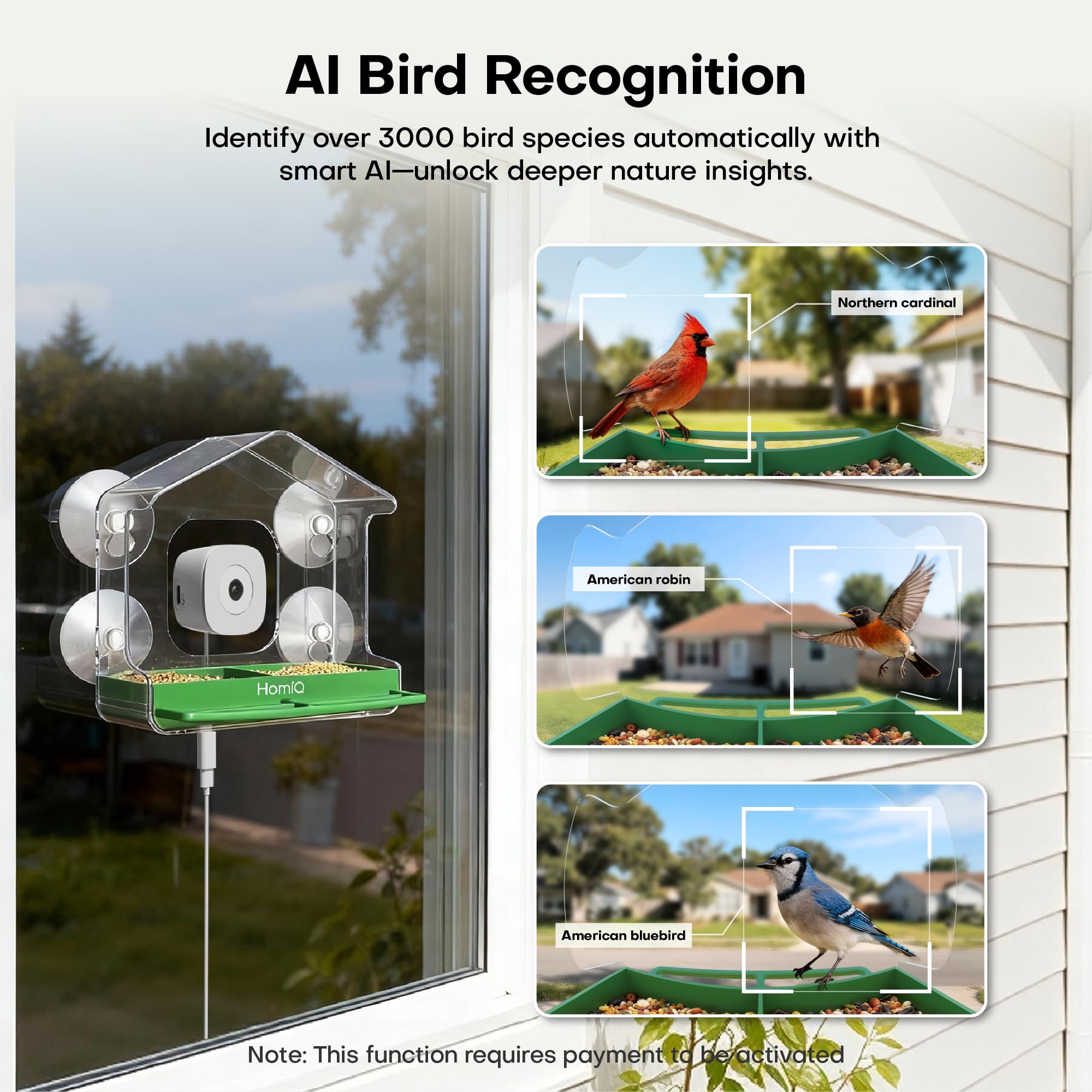 HomiQ Life Smart Bird Feeder câble long de 118 pouces assure une alimentation continue jour et nuit.