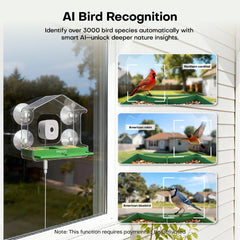 HomiQ Life Smart Bird Feeder câble long de 118 pouces assure une alimentation continue jour et nuit.
